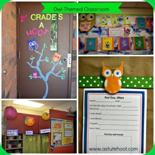 Owl Themed Classrooms are a Hoot! – Astute Hoot